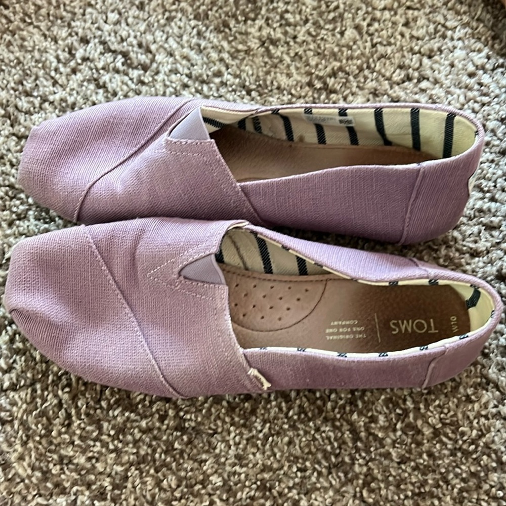 Purple canvas Tom’s